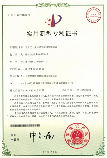 Dual-Purpose Burner For Natural Gas And Coke Oven Gas Dual-Purpose Burner For Natural Gas And Coke Oven Gas