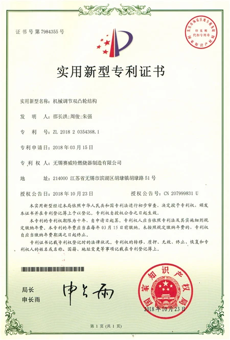 Mechanically Adjustable Double Cam Structure Mechanically Adjustable Double Cam Structure